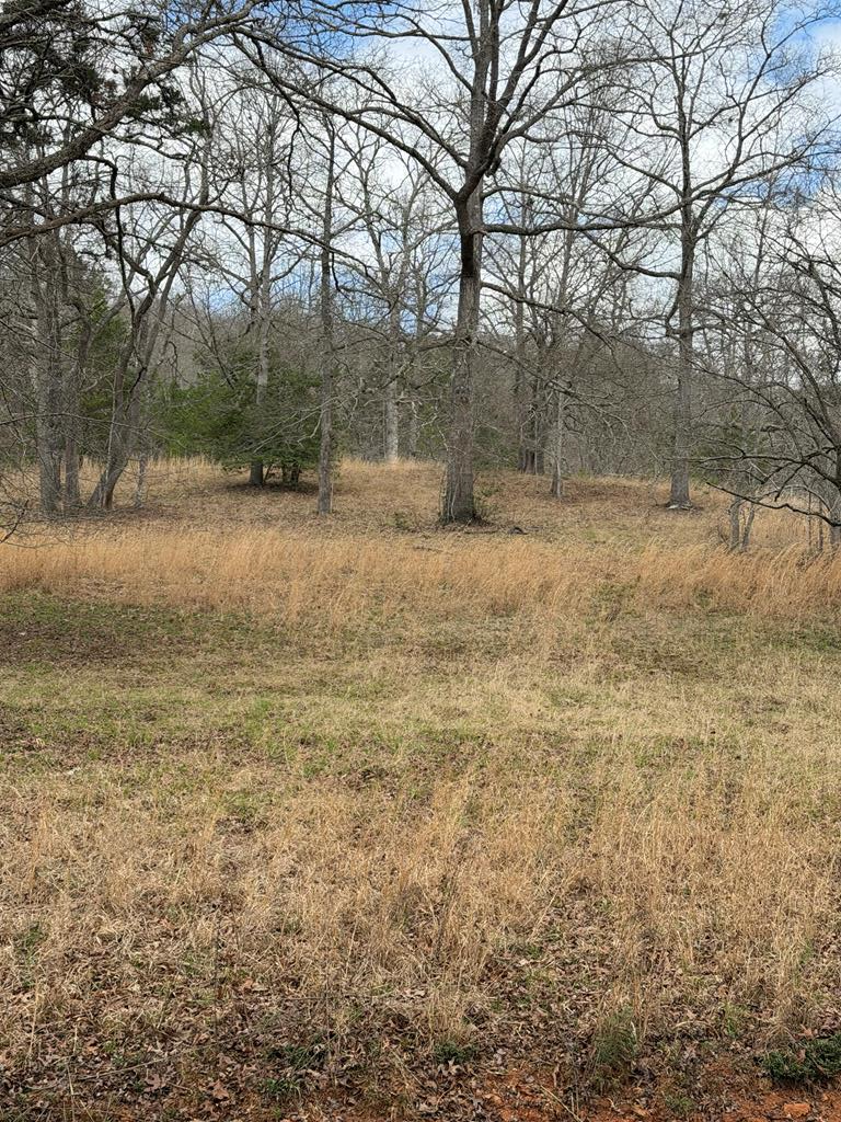 This 4.07-acre tract combines lots 2, 3, 4, & 5 in desirable Wells Lake Estates.  This property offers the freedom buyers want with level to gently rolling, wooded land that gives you flexibility for a homesite, privacy, and space to enjoy the outdoors. Gravel road access makes it easier to bring your vision to life, while the private community setting adds a sense of exclusivity. Even better, you get access to a lake and ponds, so weekends can be filled with fishing, paddling, and easy days on the water. Downtown attractions like the Murphy River Walk are nearby, plus close proximity to the John C. Campbell Folk School and Erlanger Western Carolina Hospital provide everyday convenience and local charm.  The owners will consider financing with a substantial down payment.