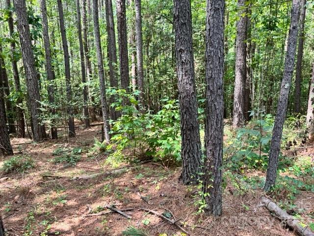 100 Shortoff Trail NW