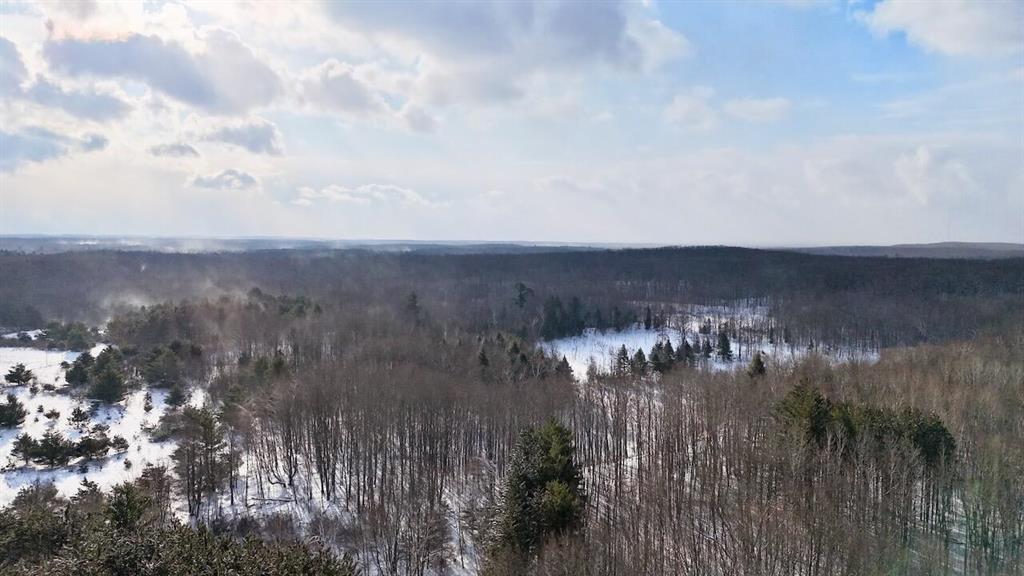 This 83.32?? acre Clare County property offers a strong combination of low-pressure hunting ground, diverse habitat, and a solid base camp setup, making it well-suited for serious whitetail hunters and recreational land buyers alike. The land features rolling hill topography that naturally creates ridges and saddles, creating consistent travel routes throughout the property. Open hardwood timber transitions into thicker bottom cover and the property is marked with well-defined deer trails, intersections and visible rubs, particularly along the ridge systems.Approximately 1800?? ft of Cranberry Creek runs east to west along the southern portion of the property, providing a natural edge, consistent water source and an added wildlife travel corridor that strengthens the overall huntability of the land. Moving out of the timber and toward the more open portions of the property, there is approximately 8?? acres of open field offering an excellent opportunity for food plot development or row crop use, complemented by existing apple trees that contribute additional natural food sources. In addition, several other locations across the property could be converted into smaller food plots to further enhance the layout. An older trail system is already established throughout the property and would only require light trimming to restore full access for equipment and hunting use.A larger timber marsh area adds another layer of diversity to the land, offering waterfowl hunting potential and seasonal habitat variety that complements the surrounding timber and upland ground. With a natural peninsula layout the presence of this wetland feature broadens the recreational opportunities on the property while strengthening its overall layout. The property also includes a clean, multi-bedroom farmhouse equipped with the necessities to function as a comfortable hunting camp or recreational base. This allows you to stay on-site during season and fully utilize the land without needing additional infrastructure.Located east of US-12