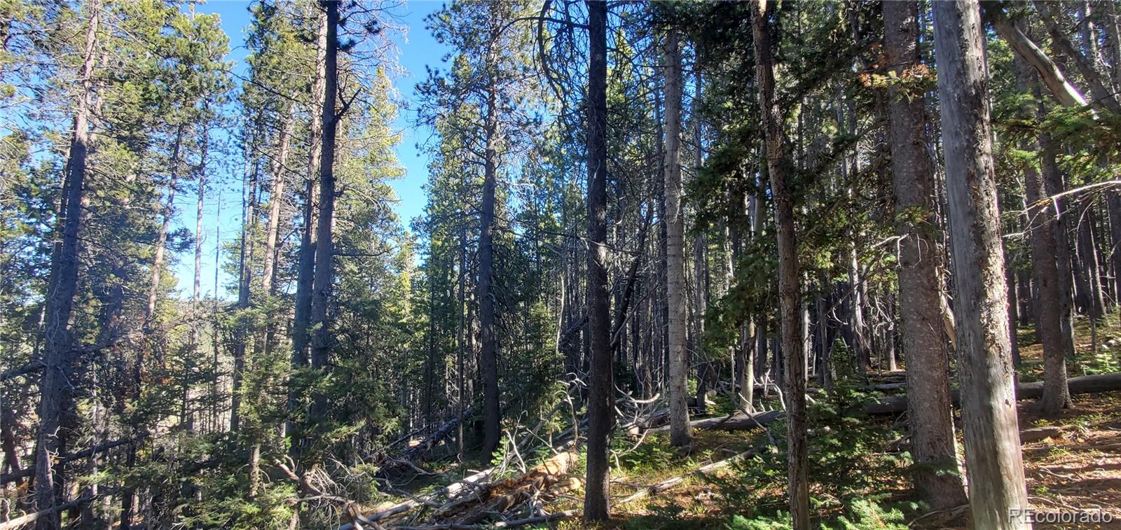 Lot 2999 & 2998 Drexler Place