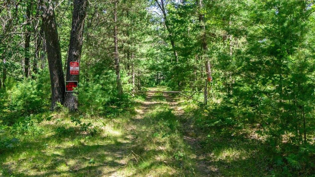 40acres with a pond surrounded by National Forest. 1.5 miles into the woods you will find this gem. Beautifully established mature trees of many species that will draw in and protect the wildlife. Food sources for deer, turkey, bear, fox, coyote, bobcat, wild birds, and even fish in the pond is abundant. Wild berries, young saplings, mushrooms and more! Build your dream cabin or bring your 5th wheel and enjoy. Did I mention there is electricity already brought back here. Close to ORV and snowmobile trails, rivers, lakes and more. This property will go quick. there is an old cabin on the property.
