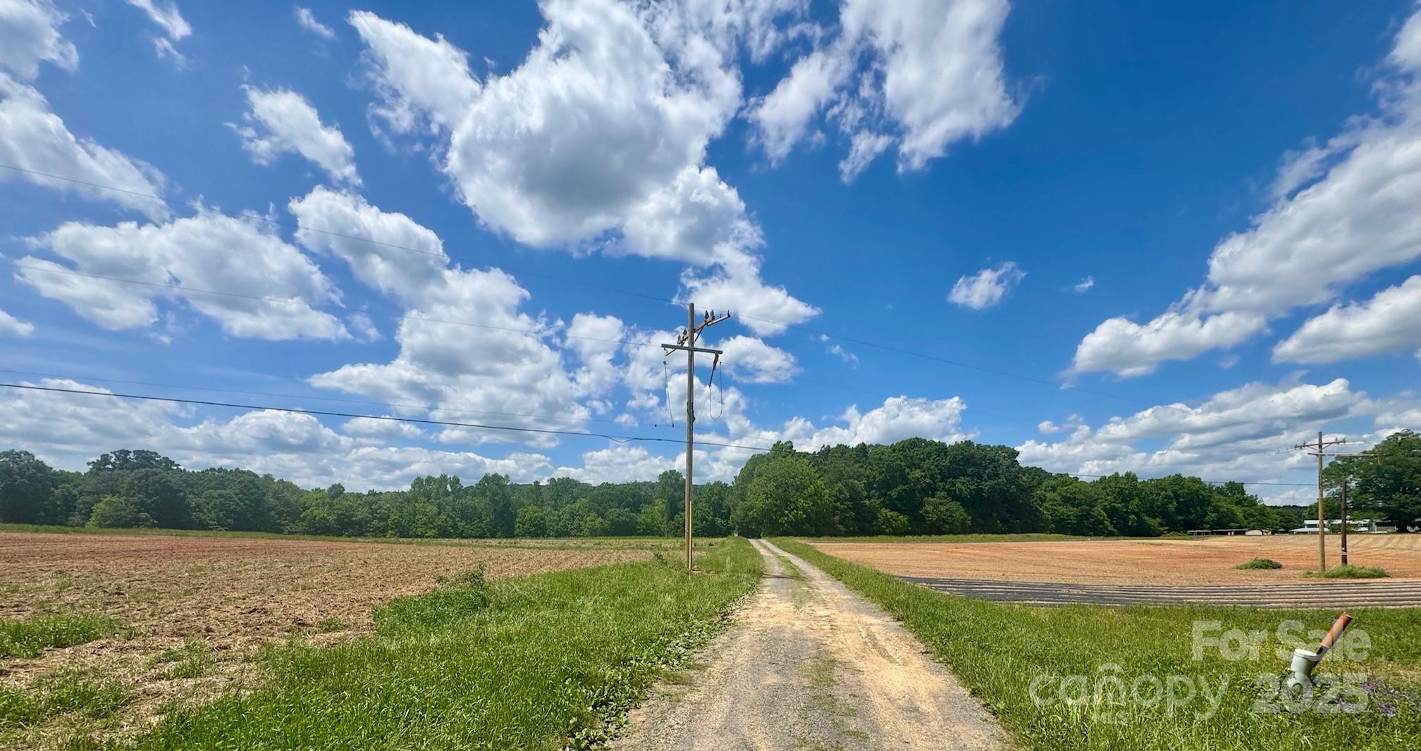 • Over 80 Acres: Expansive and pristine land ready to fulfill your dreams.
• Working Farm Conservation Easement: Operate or lease the land as a productive farm.
• Barns and Pond: Fully equipped with barns and a picturesque spring fed pond.
• Close Proximity to Mount Pleasant: Enjoy convenient access to shopping, restaurants, and entertainment.
• Timberlands: Old-Growth Short-Leaf Oak and Hickory. Eligible for a harvesting plan, offering additional 
income potential.
• Geological Significant Feature: Goldhill Fault Zone / Ridge