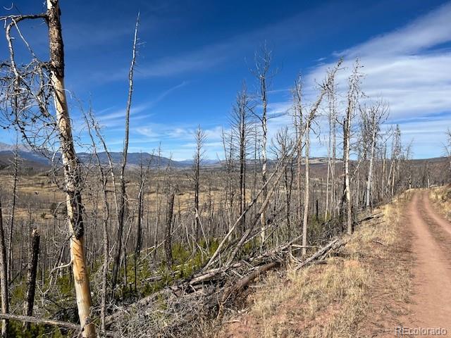 Lot 1741 Mathlide Place