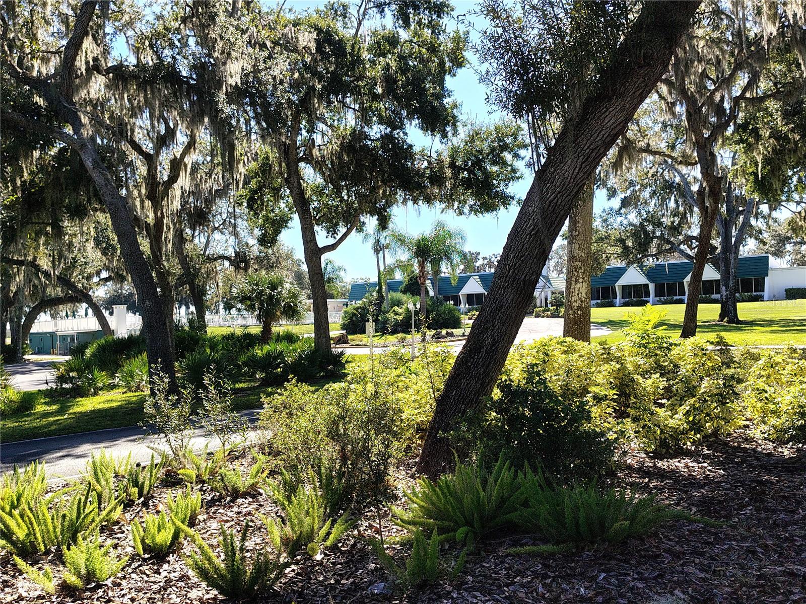 116 Lyonia Lane