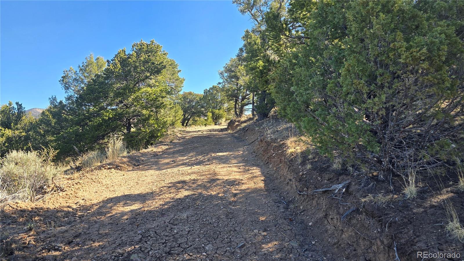 Lot 5996 Rod Road