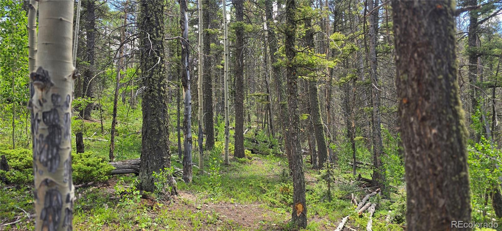 Lot 5778 Balleroy Road