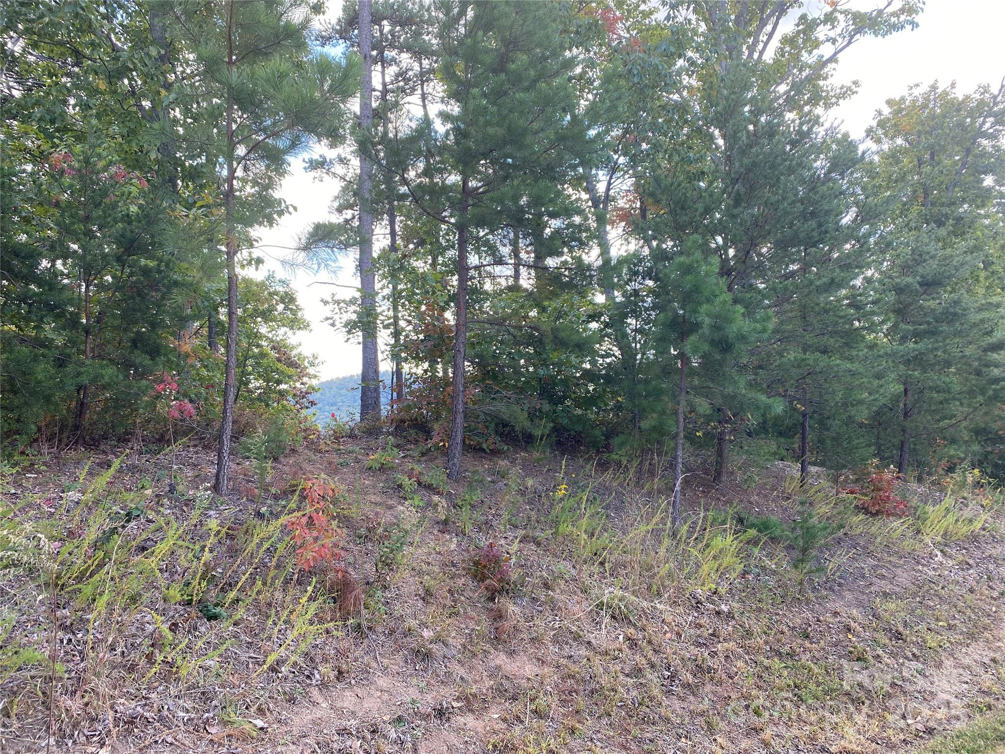 61 Scenic Vista Drive 238