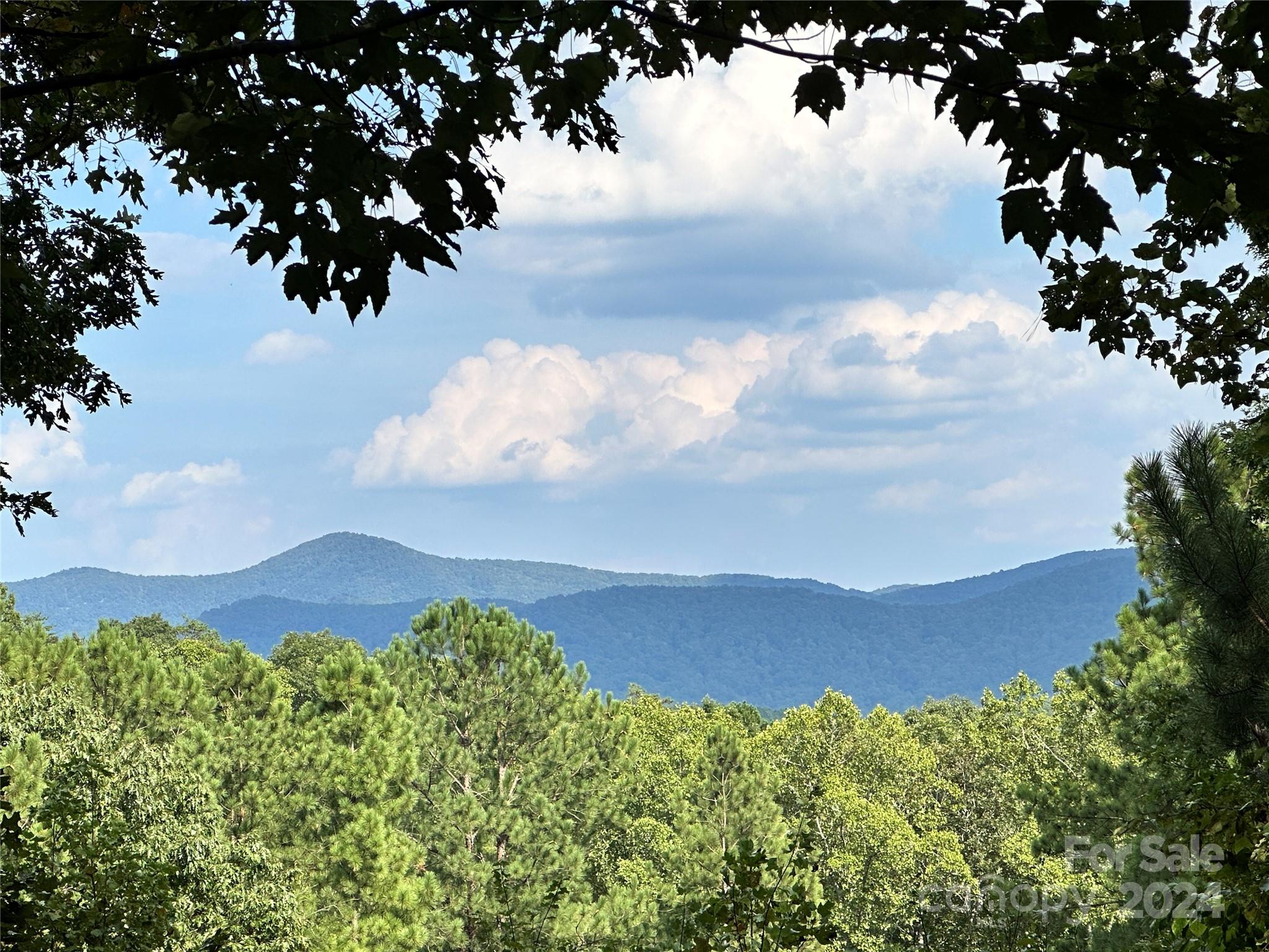 67 Dunn Trail 9