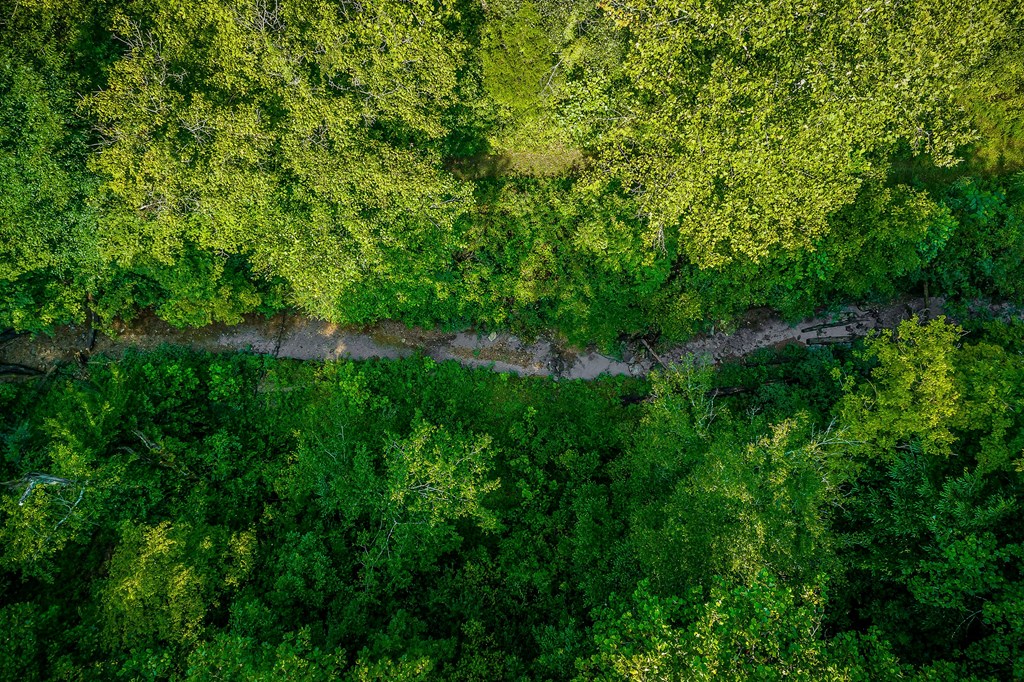 392 Possum Hollow Rd