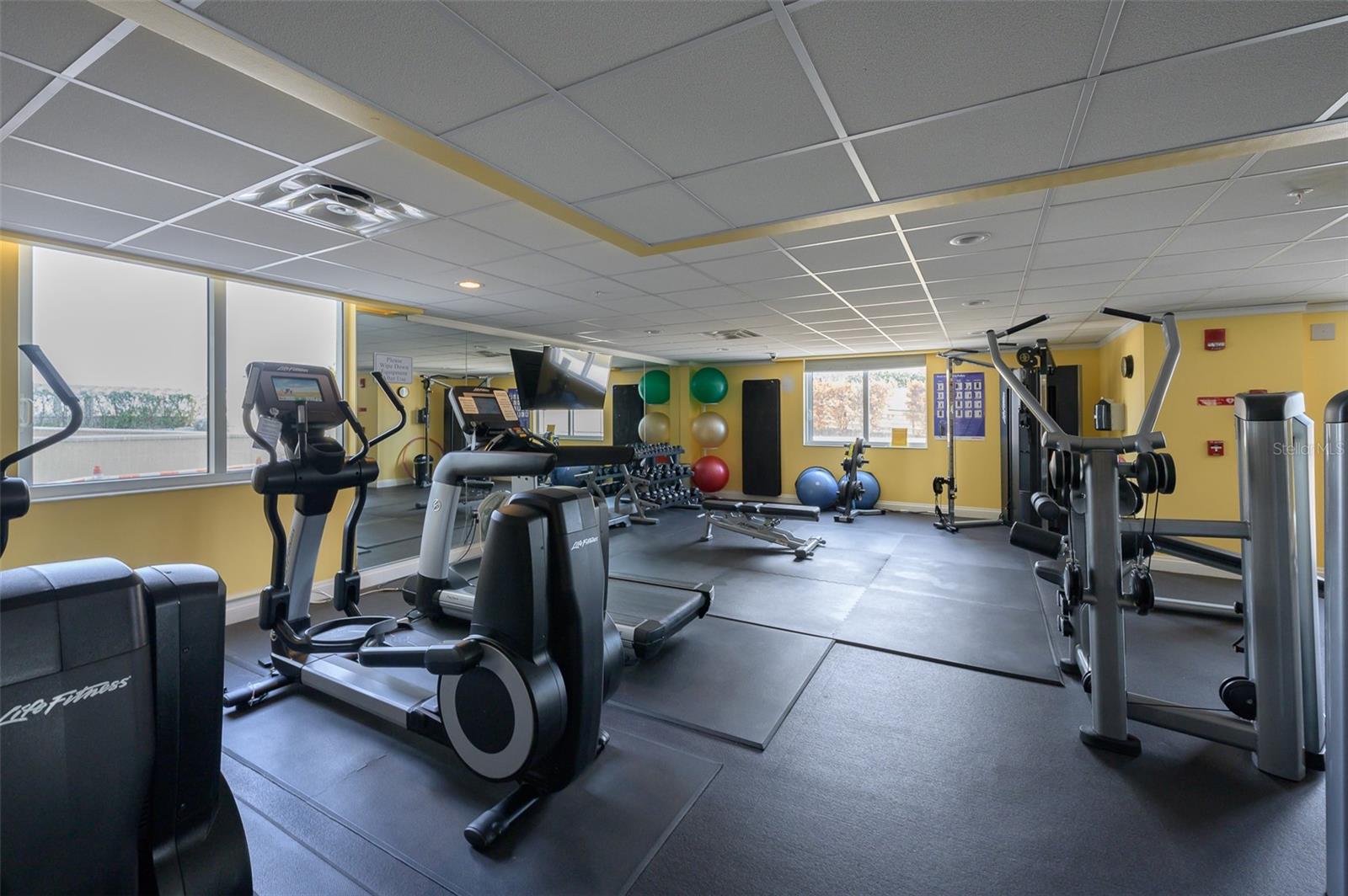 800 N Tamiami Trail 815