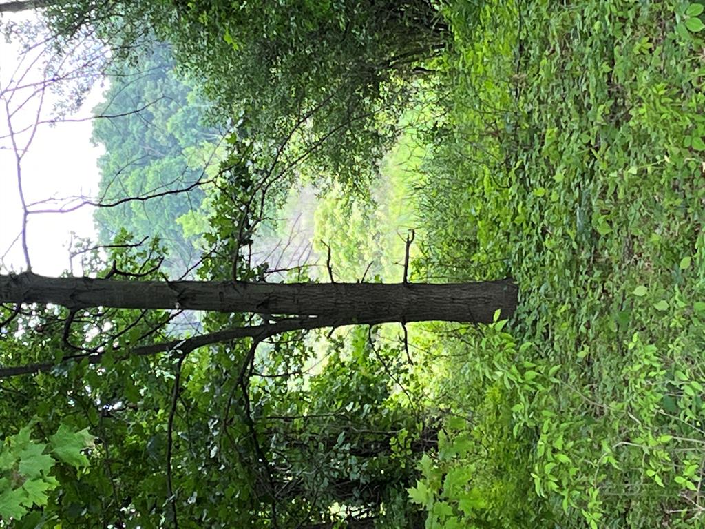 South Central Michigan Acreage and Land for sale