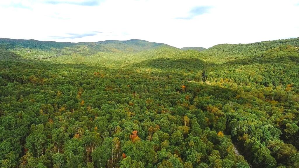 Discover the beauty, privacy, and unmatched seclusion of Lot 88 Nye Valley Road—a lovely 8.5 acre property located in the prestigious gated community of Cove Creek in the Blue Ridge Mountains of Tazewell County, Virginia. This gently rolling, mostly wooded tract offers a peaceful escape with a cleared and prepped driveway and homesite. Whether you're dreaming of a full-time mountain retreat or a recreational weekend getaway, this property is ready for your vision. Enjoy over 400 feet of road frontage on Nye Valley Road, making access easy while preserving your sense of seclusion. Breathtaking mountain views surround you, and the quiet of nature provides the ideal backdrop for relaxation or adventure. As a property owner in Cove Creek, you'll also have access to a private community recreation area featuring picnic tables and serene creek frontage—perfect for spending time with family, fishing, or simply enjoying the outdoors. Don't miss this opportunity to own a slice of mountain paradise in one of Tazewell County's most exclusive communities. Build your dream home or create your own private retreat in the Blue Ridge Mountains. Contact us today to schedule a showing or request more information about this unique and ready-to-build mountain property!