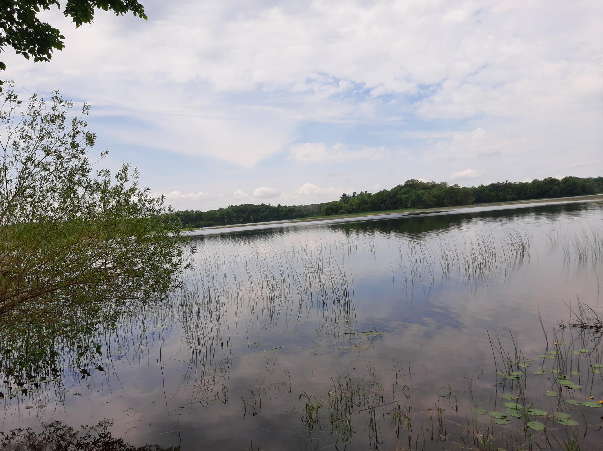 9879 Maple Ridge Road