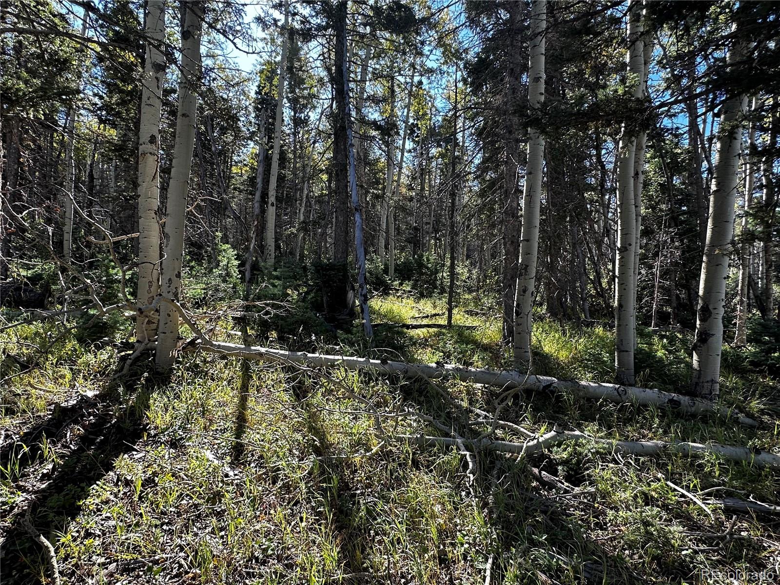 Lot 2652 Petito Drive