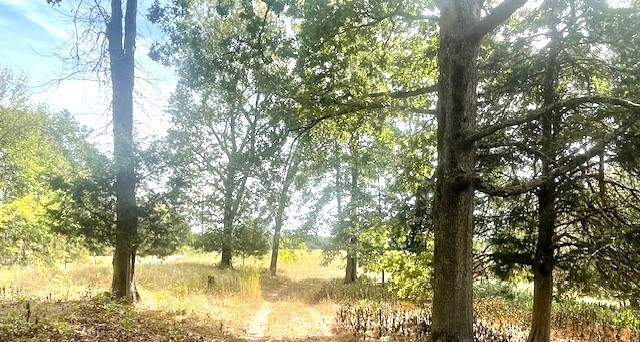 0 Halls Creek Road