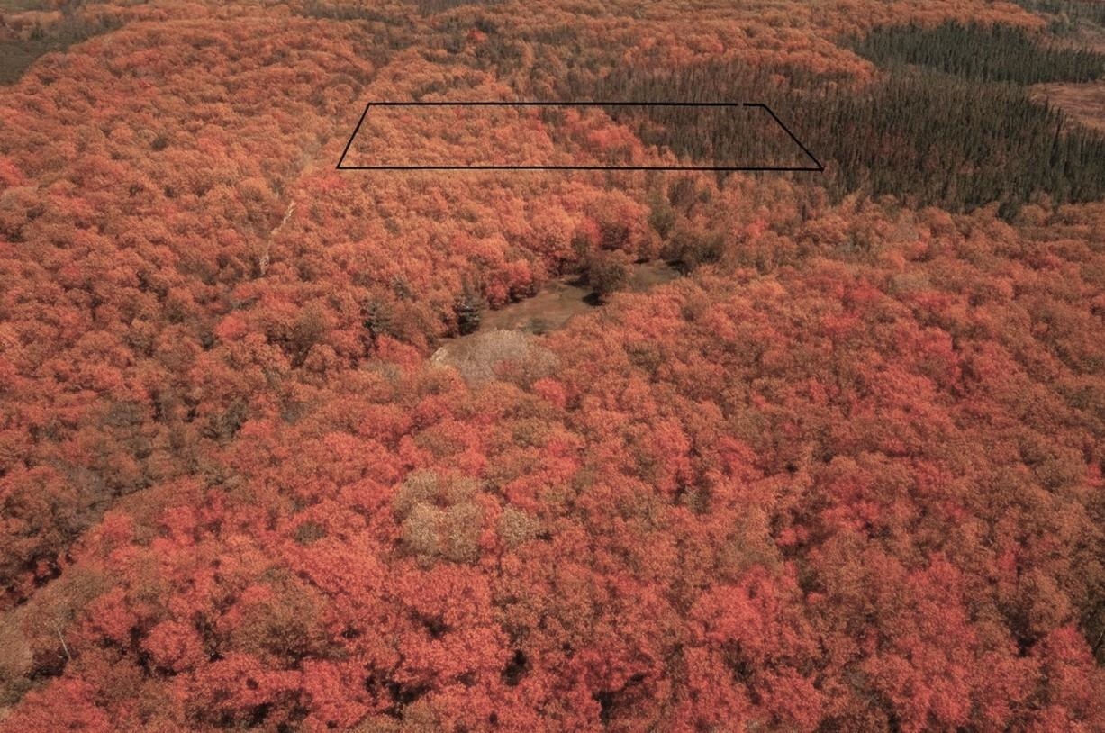 More than a property—it's a place where memories will be made, stories will unfold, and dreams will take root. Imagine waking up to the rustle of leaves, the scent of pine in the air, and the soft golden light filtering through a canopy of mature Oaks, Maples, Birch, Ash, and Pine trees. This beautiful parcel in Bayfield County isn't just land—it's the beginning of your next chapter. Nestled near county land, this property offers privacy, serenity, and direct access to thousands of acres of public wilderness. Whether you dream of a cozy cabin or a year-round home, the possibilities are endless. With several acres of high ground ready to be opened up, you'll find the perfect spot to build—marked with orange ribbons to guide your vision. The land is thoughtfully prepared for your future. Power and Norvado high-speed fiber optics, premium channels, and telephone service are already available on the south end. Sandy soil provides excellent drainage, ideal for a conventional septic system. From your driveway, hop on maintained snowmobile and ATV trails that stretch for miles. In summer, paddle a quarter mile down the Iron River, just minutes away, or explore the nearby lakes and forests. This land offers year-round adventure and peace, whether hiking, fishing, relaxing under the stars, or looking for  Northern Lights. Located in a prime spot near Ashland, Bayfield, Hayward, Superior, and Duluth, MN, you'll enjoy easy access to airports, shops, and restaurants—while feeling worlds away from the hustle. Walk the land, breathe, and picture your future here.