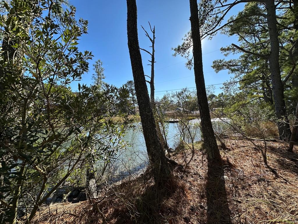 Great opportunity for a large waterfront parcel on the south end of the Island with great creek frontage. This large of a parcel does not come along often. Call today and make this one yours!