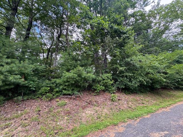 2 Lots for Sale on Groundhog Mountain! Discover level  buildable lots just off the Blue Ridge Parkway . Each property offers access to electricity, water, and sewer services. Enjoy the convenience of paved road frontage, surrounded by beautiful rhododendrons. Amenities include tennis courts, fishing pond and community building for social gatherings.
