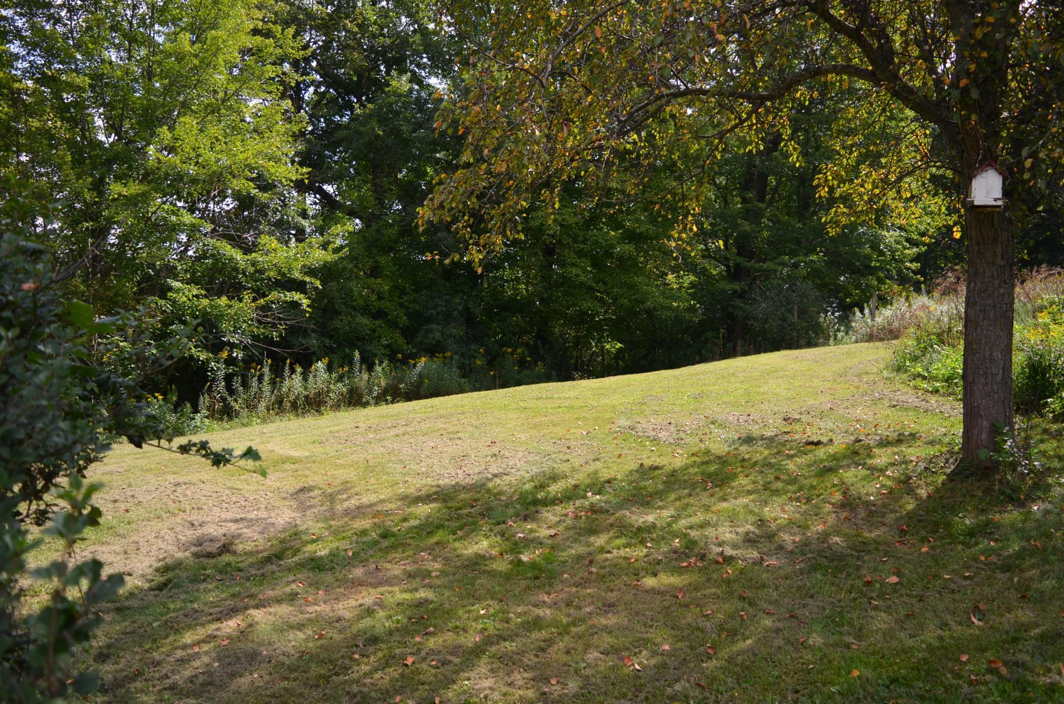 31365 Hay Creek Trail