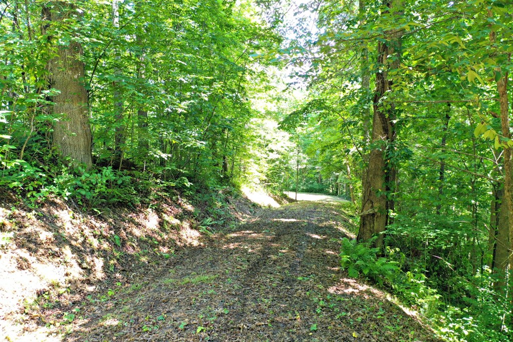 Oat Field Road