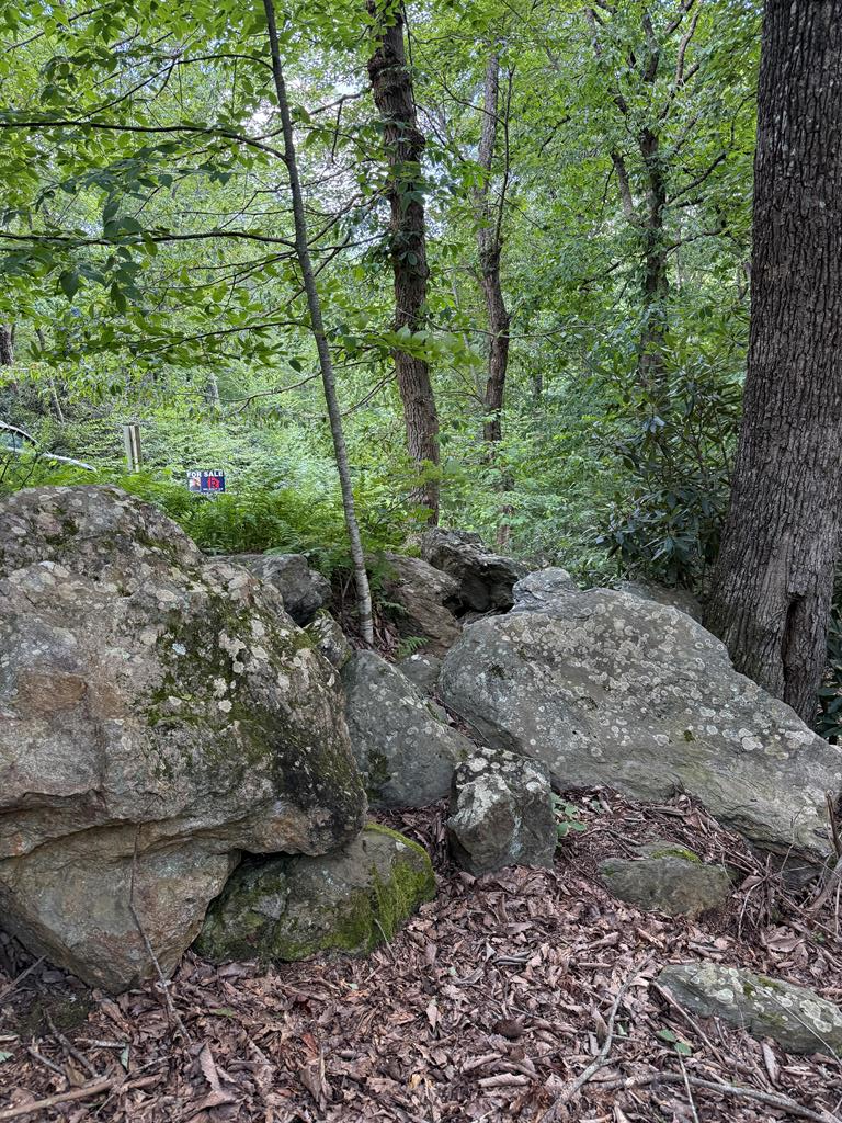 Escape to the Blue Ridge Mountains! Discover this beautiful mountain property located just off the scenic Blue Ridge Parkway in Patrick County, Virginia. Nestled in a gated community, this lot features underground electricity already in place—a perfect head start for building your dream mountain getaway! Enjoy stunning long-range mountain views, peaceful surroundings, and the sights and sounds of local wildlife—deer, turkey, and more—all while being just: 10 minutes to Fancy Gap, 20 minutes to Hillsville, VA,  20 minutes to Mt. Airy, NC You're close to charming shops, great restaurants, and essential amenities, yet tucked away from the noise and traffic of city life. Whether you're dreaming of a quiet retirement home, a weekend retreat, or a forever home in the mountains—this property offers the perfect balance of seclusion and convenience. Don't miss your chance to own a slice of mountain paradise. Call today to schedule a visit or learn more!