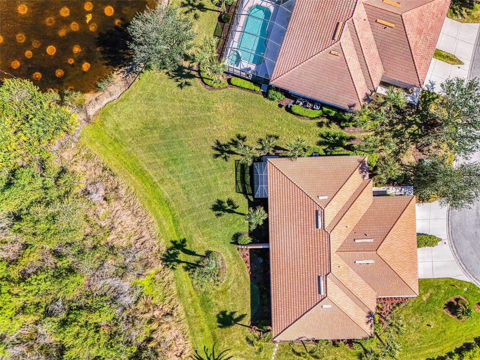 2625 Wax Myrtle