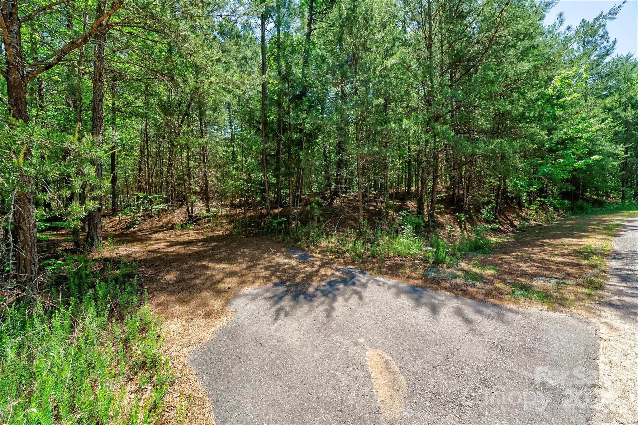 1179 Whispering Woods Drive 34