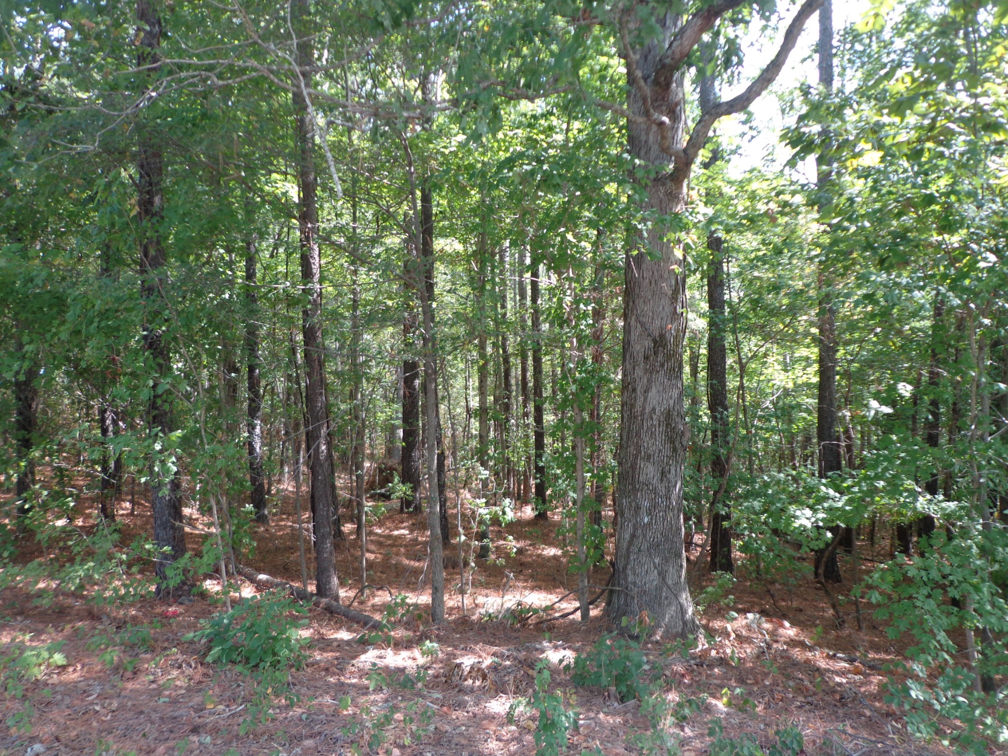 0 Tennessee Ridge Road