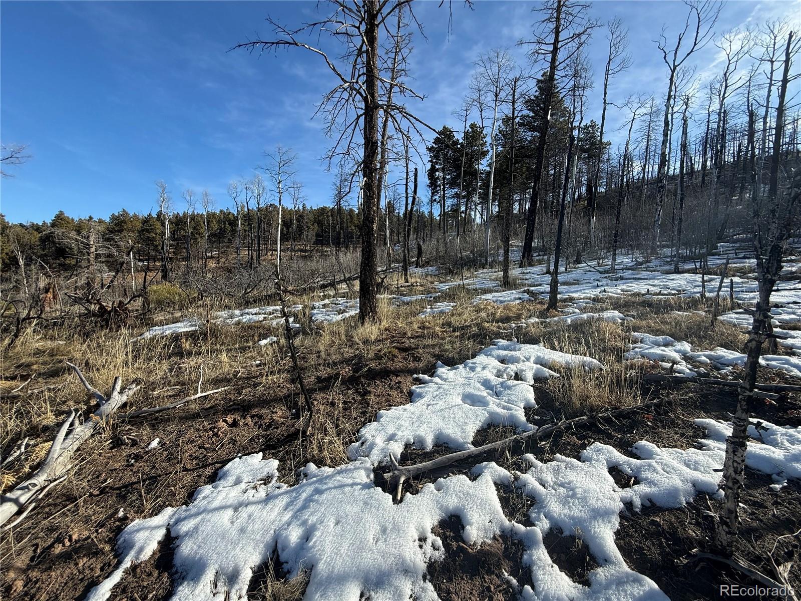Lot 356 Spangle Drive