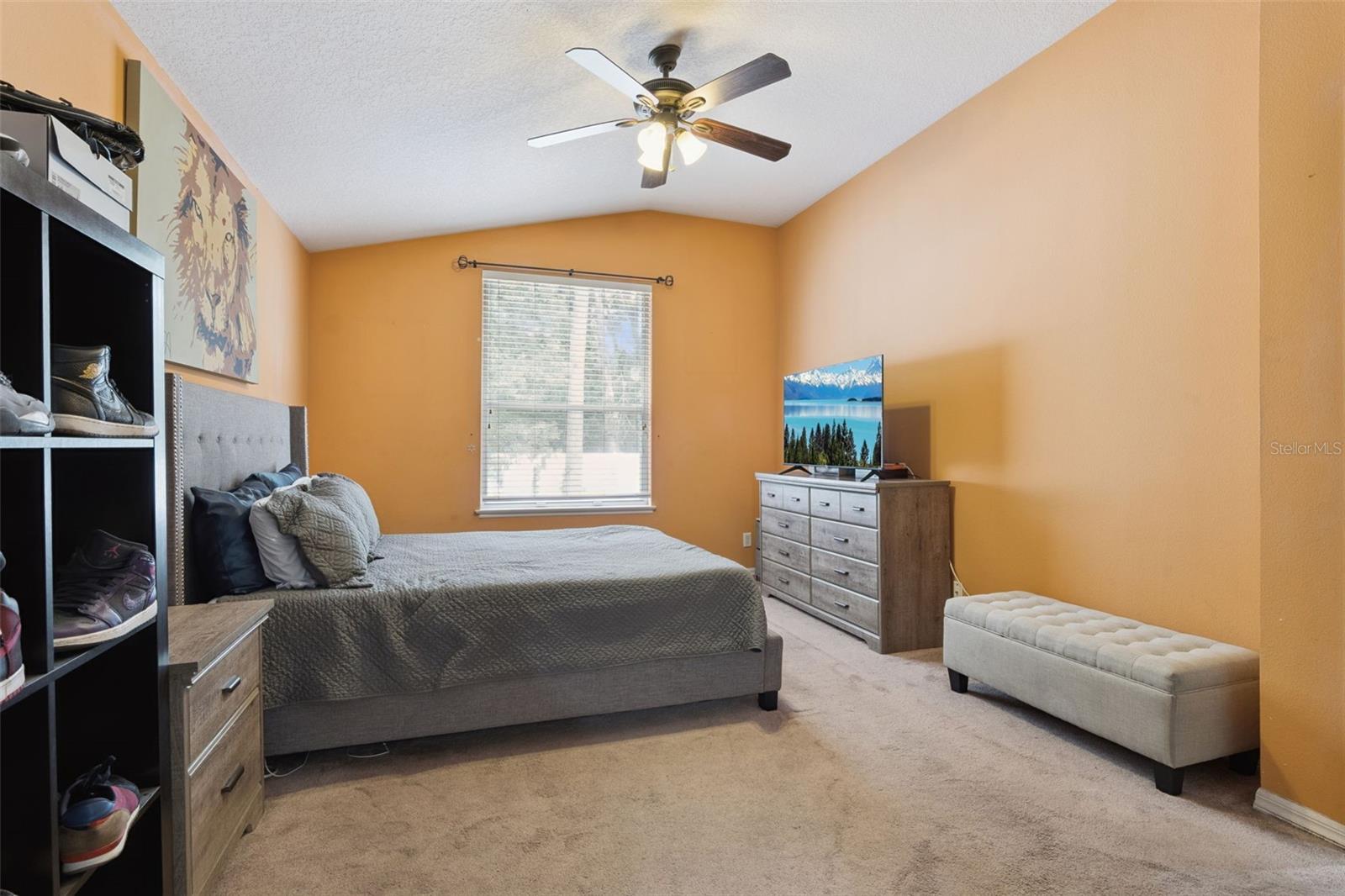 2019 Golden Ivy Way