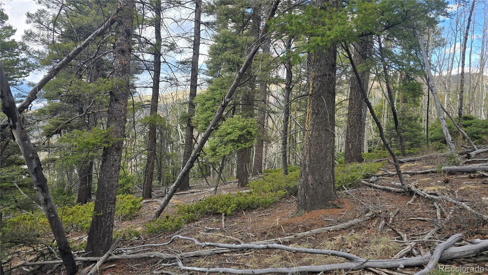 Lot 5261 Scott Road