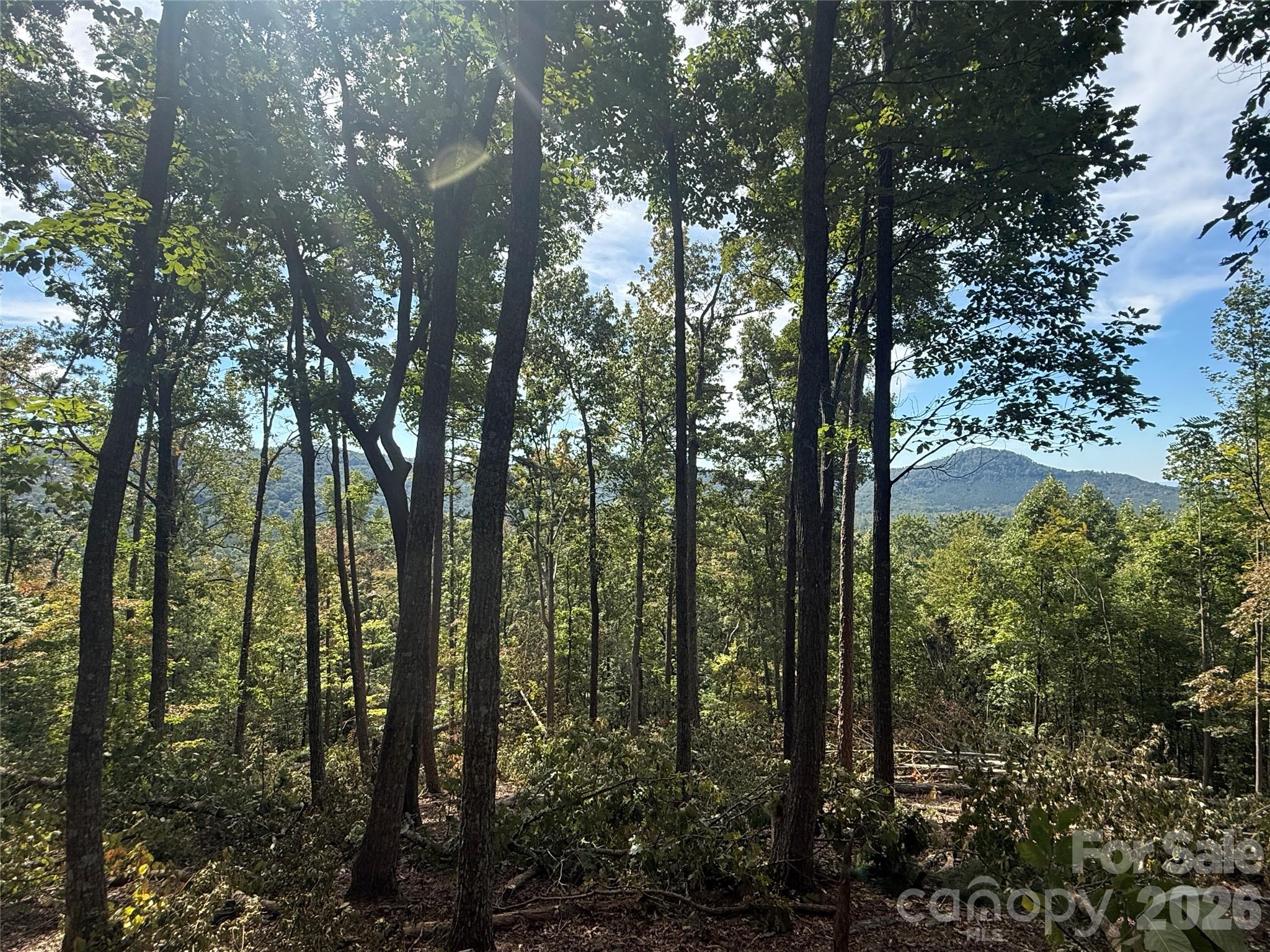 V/L Scenic Vista Drive 332/333