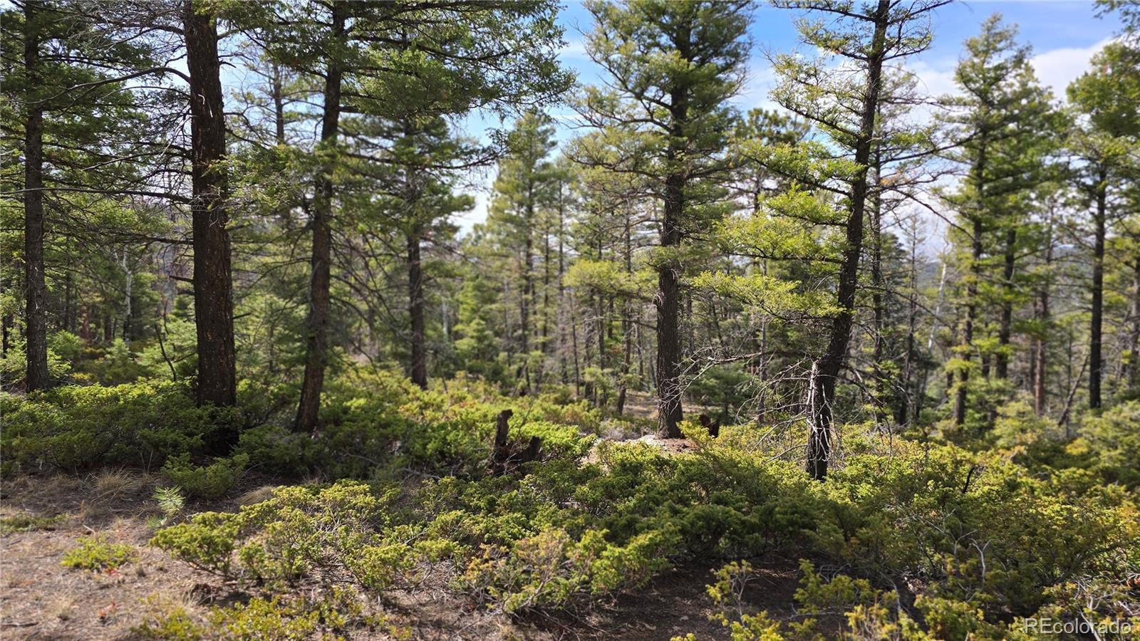 Lot 6070 Vreeland Road