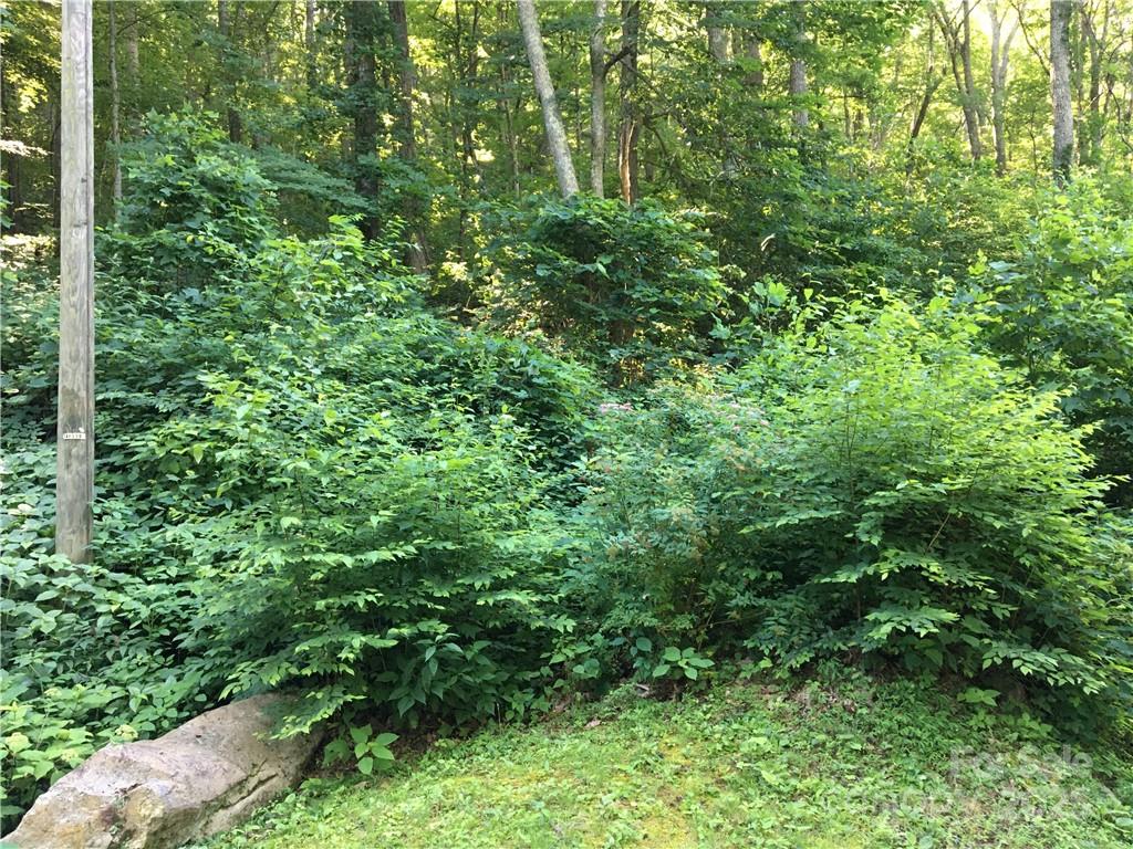 This parcel is a rare bargain for investment or buyer seeking spectacular views, high elevation and privacy. The setting is ideal for a buyer seeking a tranquil setting in the forest, without being remote. Abundant wildlife and beautiful blooming native plants flourish in this lovely, wooded community. Steep slope with rare, buildable knoll for exceptional views.


Fairview Forest is a park like community with homes tucked away on generous wooded parcels. The recently renovated clubhouse is located along side a pristine mountain creek and is a wonderful place for large gatherings.