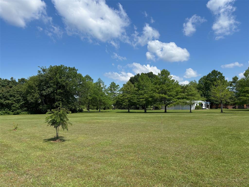 318 Luther Lane