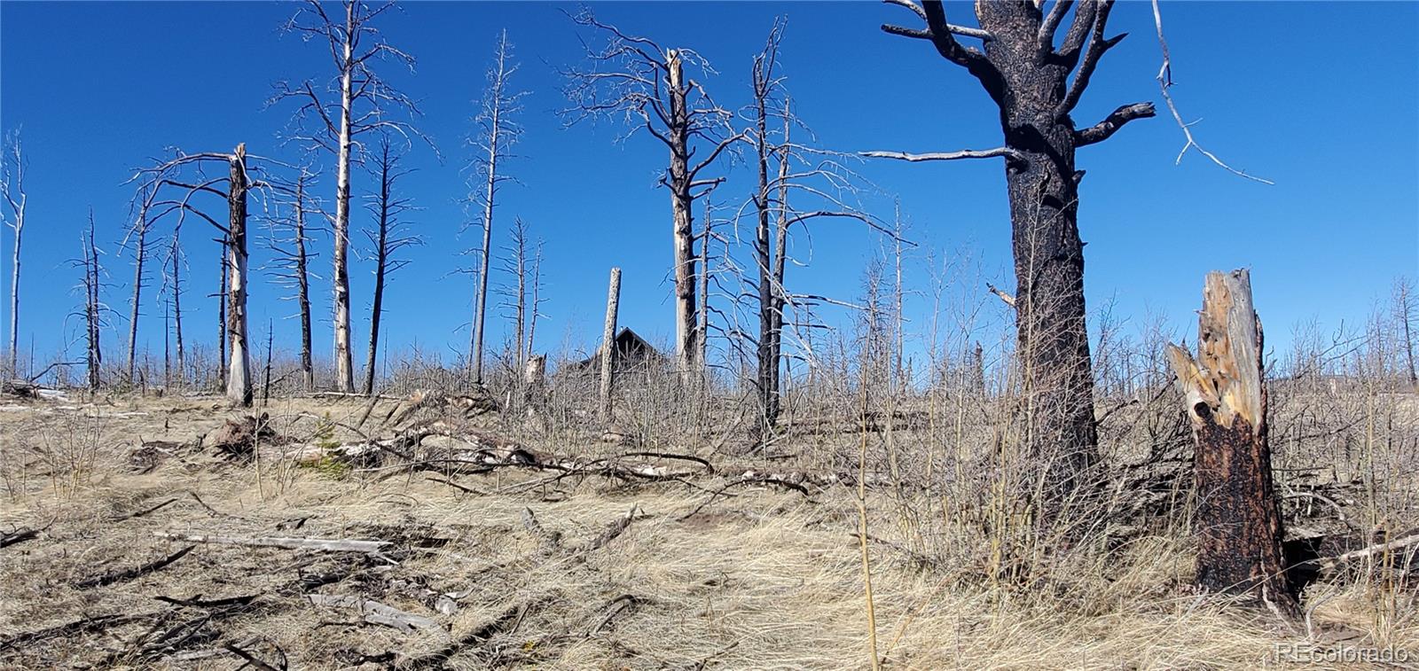 Lot 1566 Cary Lane