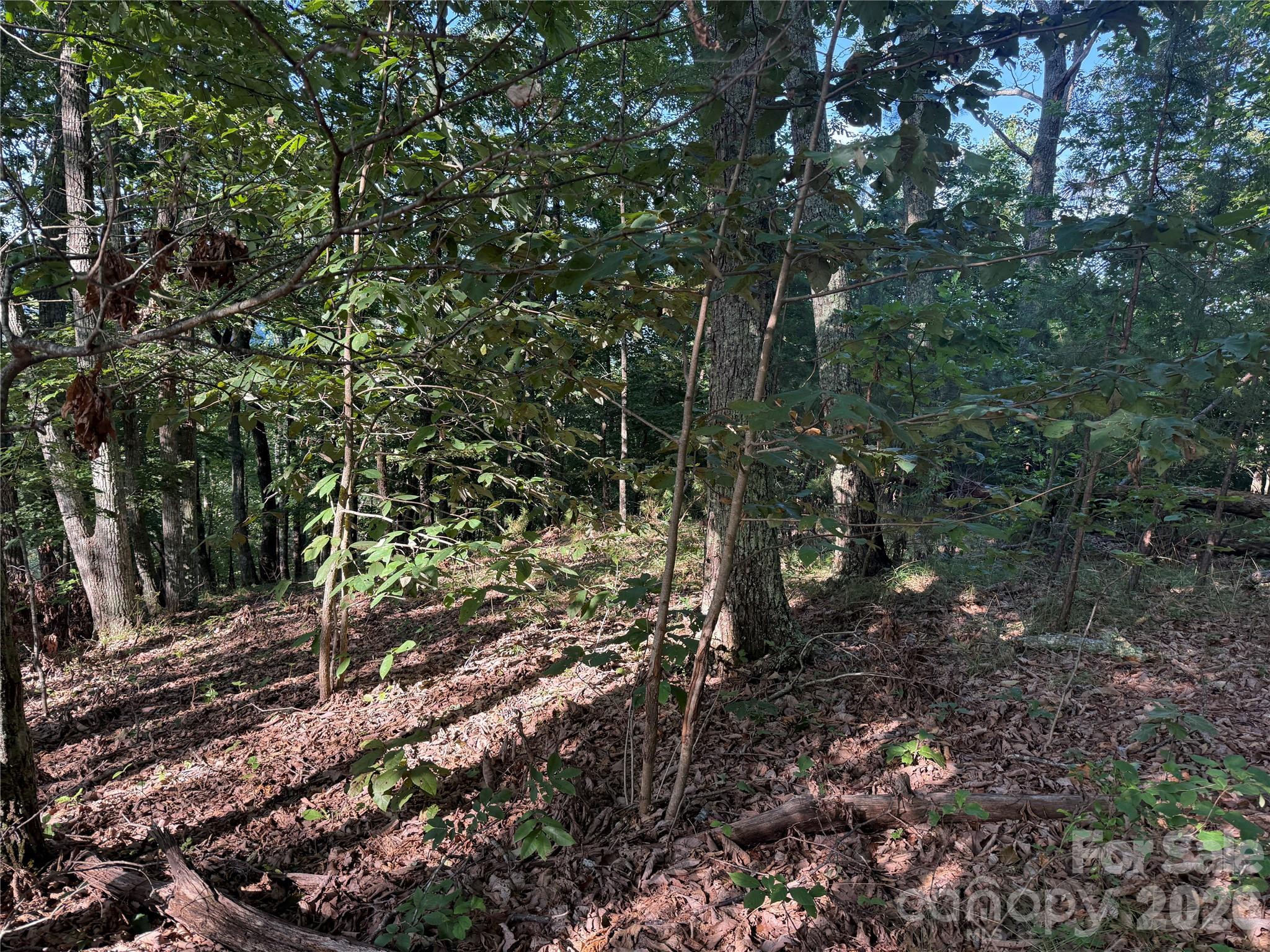 V/L Scenic Vista Drive 332/333