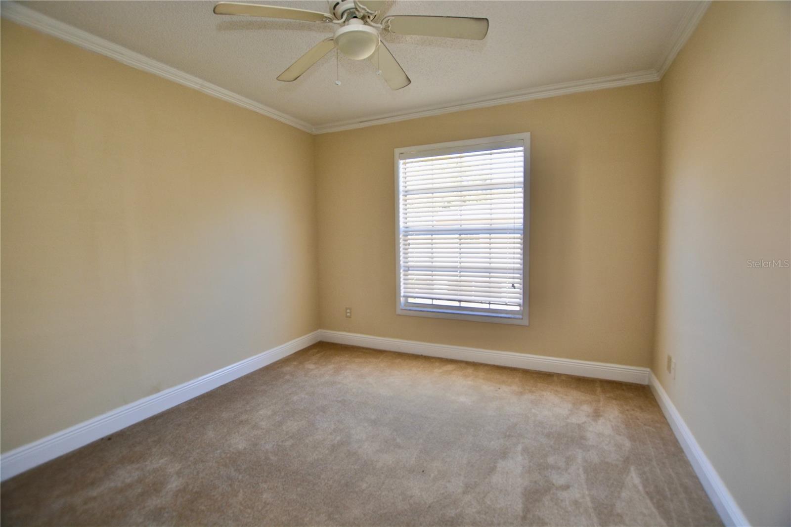 11822 Raintree Drive