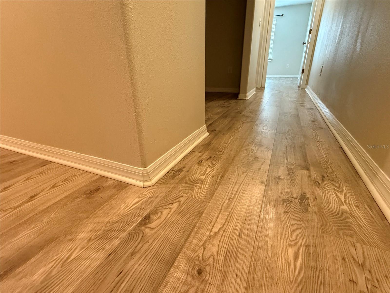 9854 Trumpet Vine Loop 9854