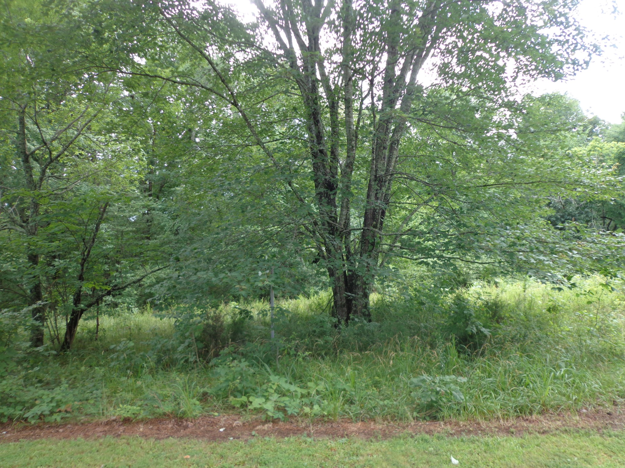 2625 Old Blacktop Rd