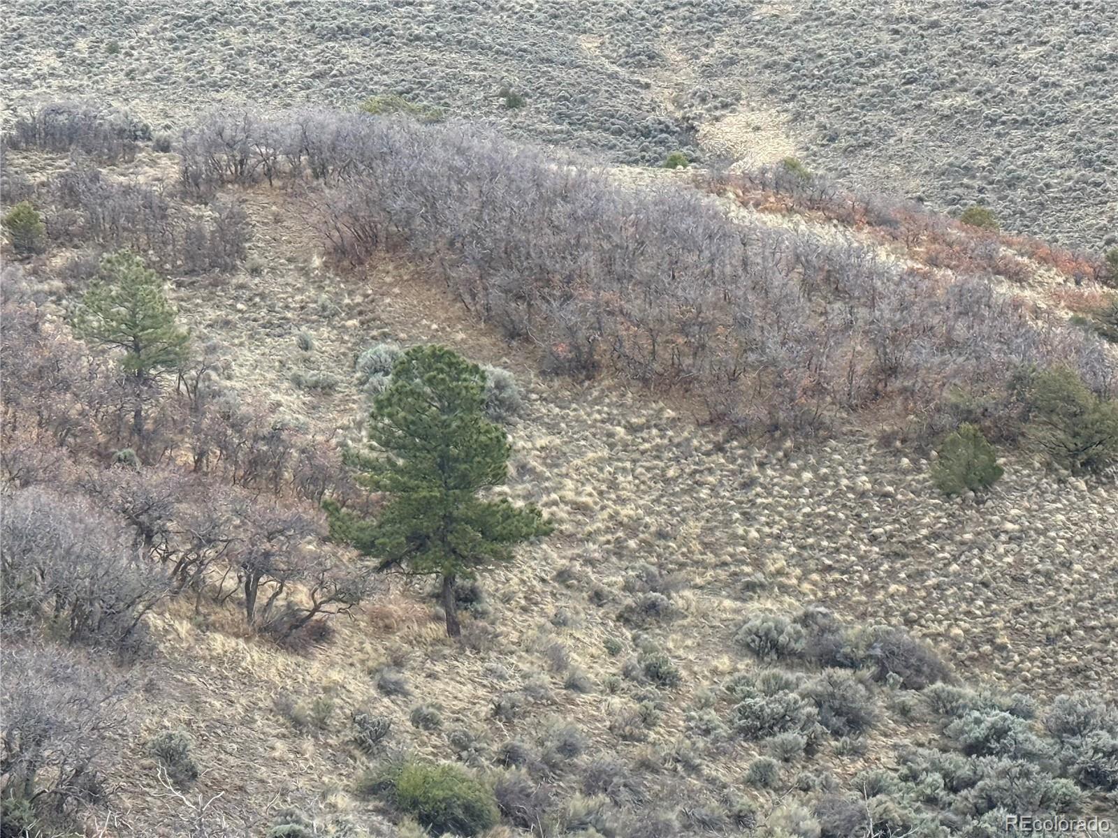 Lot 297 Boothby Lane