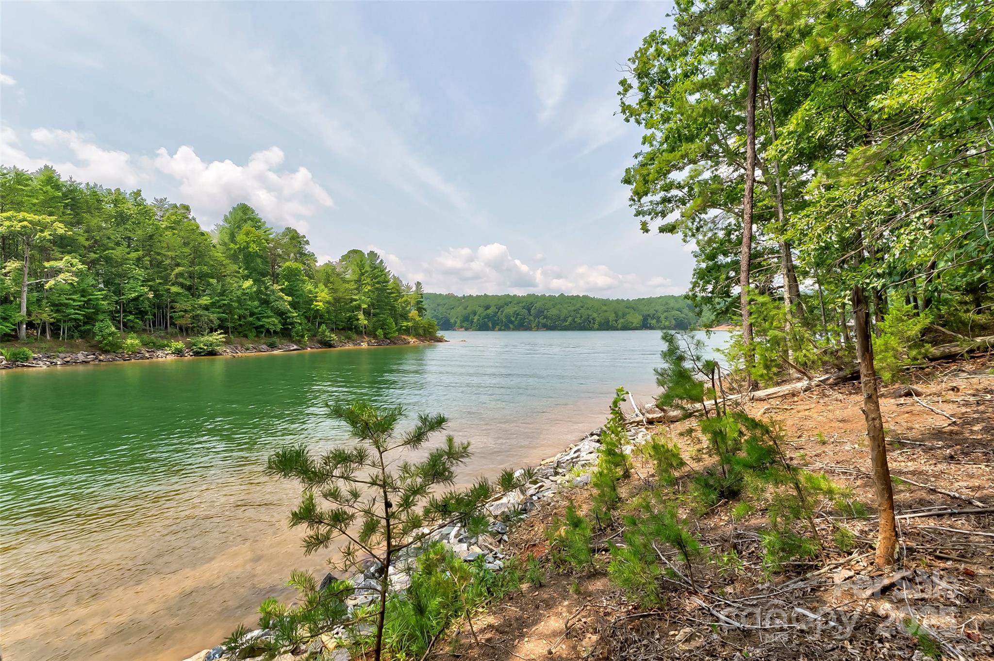 159 Deer Berry Drive 62