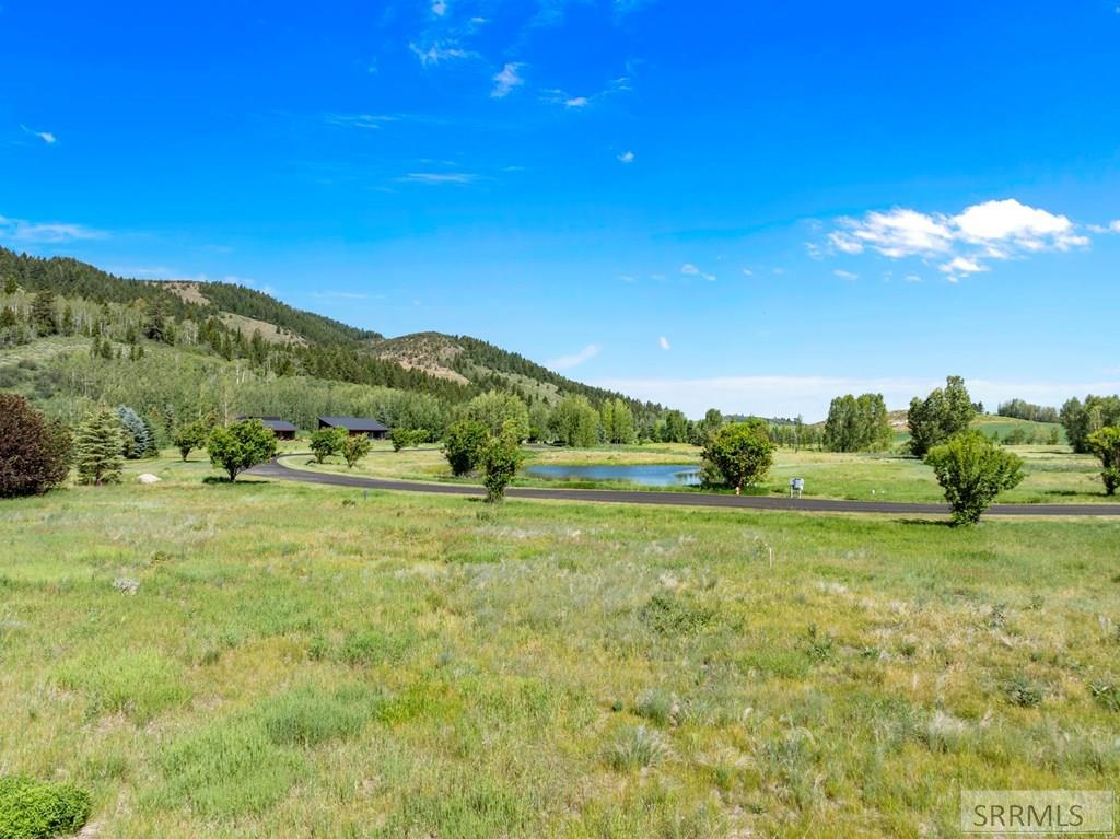 4617 Paradise Springs Road