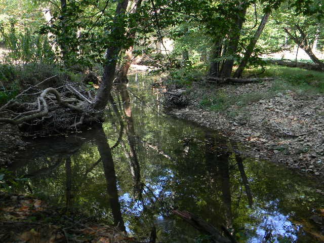 0 Traylor Branch Road
