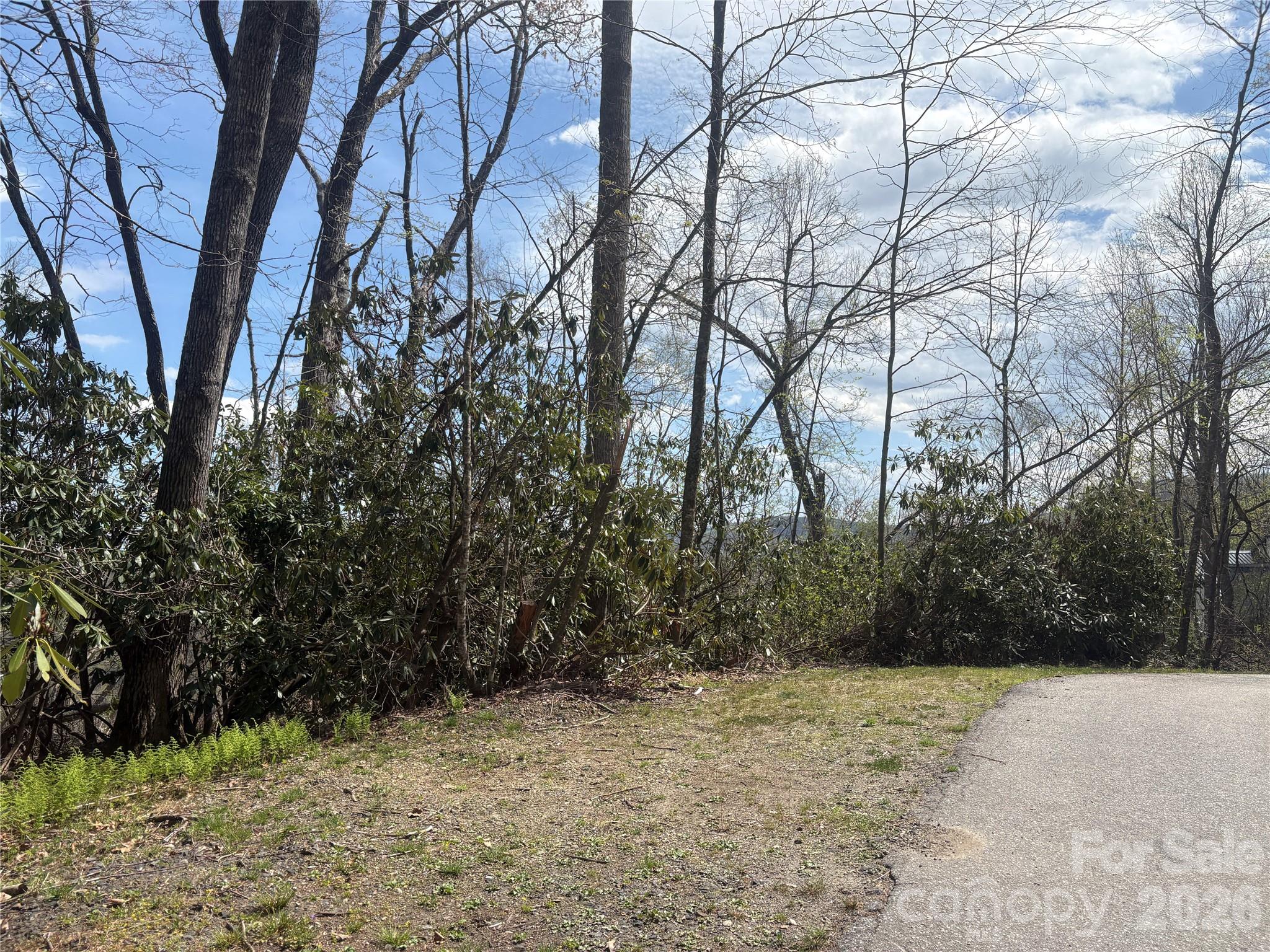 TBD Swiss Pine Lake Drive 117