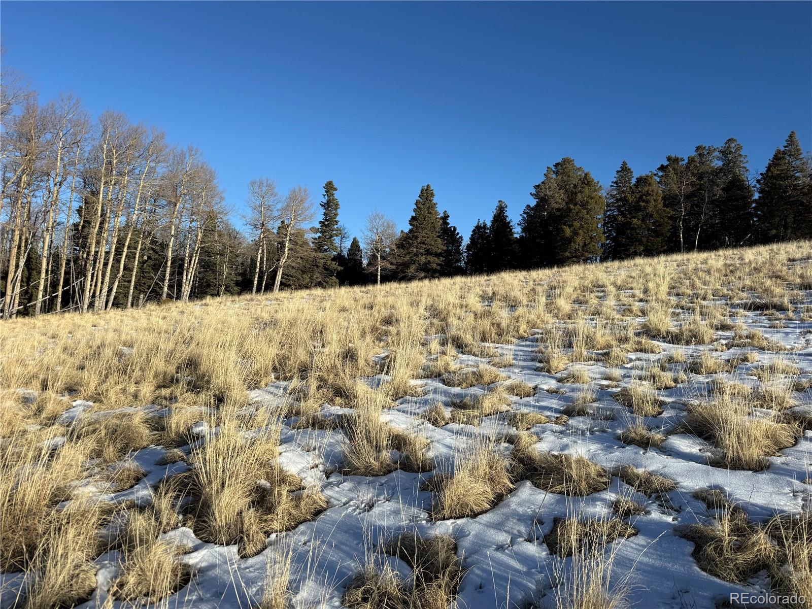 Lot 499 Collinson Drive