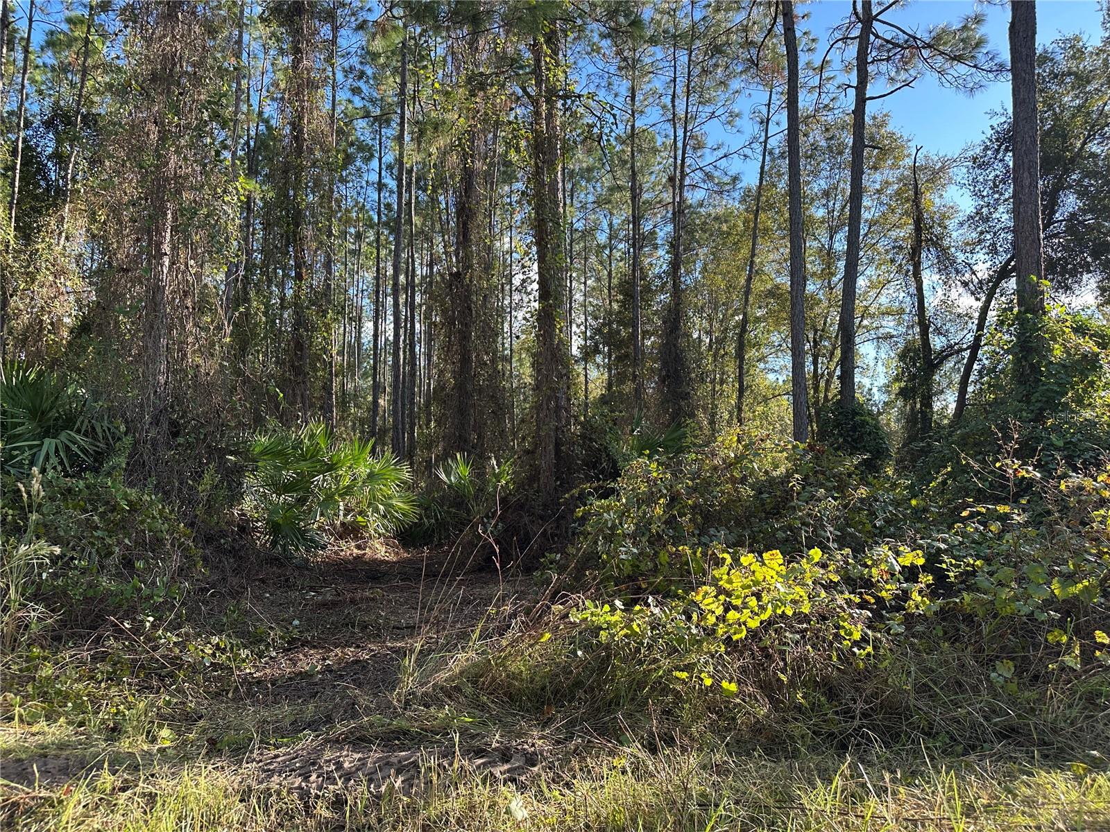 111 Camp Road
