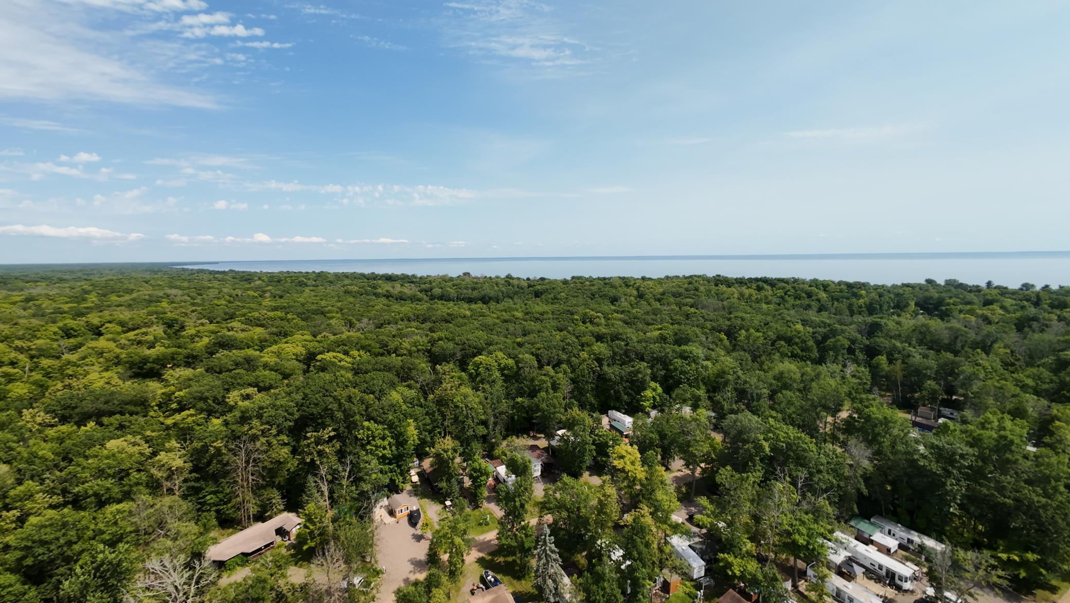 N1-21 Sherwood Forest