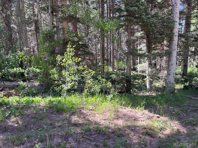 Lot 2684 Coder Place