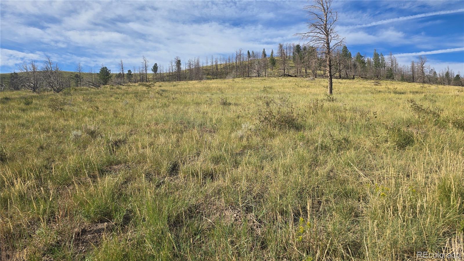 Lot 7719 Hallstein Road